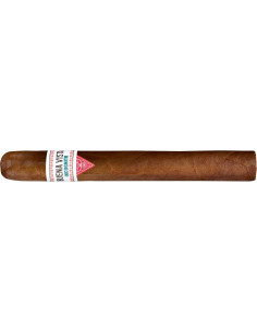 Buena Vista Incognito Churchill (1)