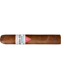 Buena Vista 20 Incognito Robusto (1)