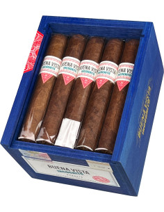 Buena Vista 20 Incognito Robusto (1) 2
