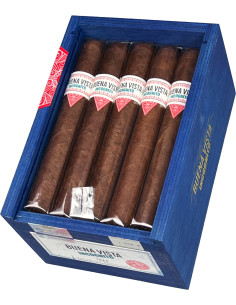 Buena Vista 20 Incognito Toro (1) 2