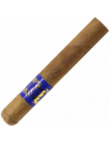 Inca Secret Blend Robusto Blue (5)
