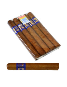 Inca Secret Blend Corona Blue (5) 2
