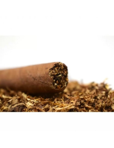 Senator White Cigars (25)