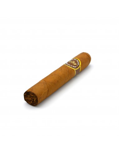 Oro De Esteli Robusto (10)