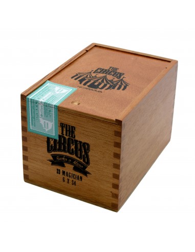 The Circus Magician (Gran Toro) (25)