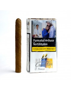 Canaritos Nuncios Mazo (10)