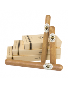 Ashton Classic Magnum (25)