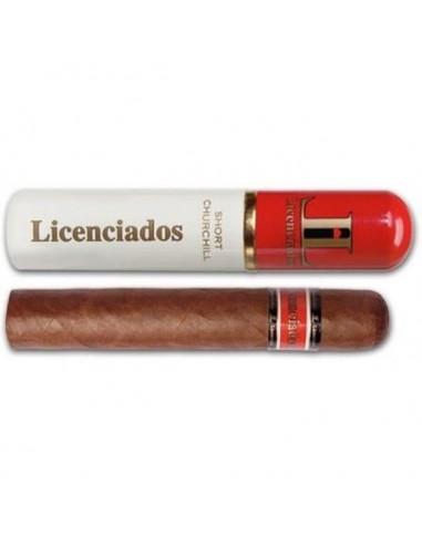 Licenciados Short Churchill Tubos (10)