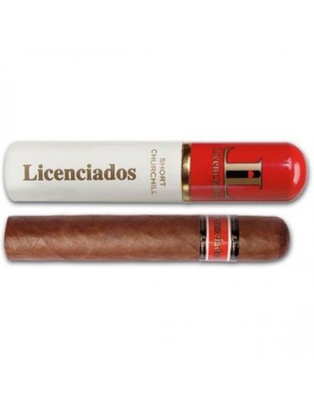 Licenciados Short Churchill Tubos (10)