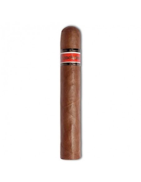 Licenciados Robusto (10)