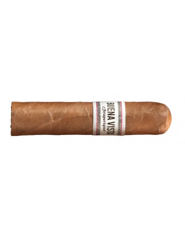 Buena Vista Short Robusto (20)