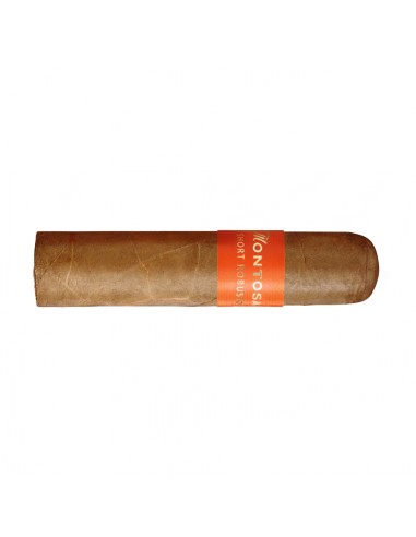 Trabuc Montosa Short Robusto