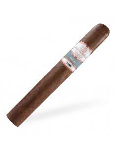 Casa Turrent 1880 Oscuro Double Robusto (10) 2