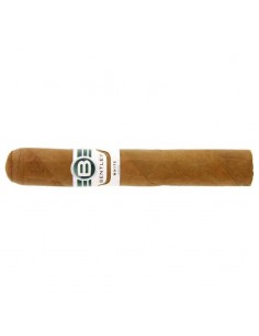 Bentley Robusto White (20) 2