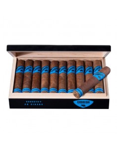Corrida Nicaragua Robusto (20) 2