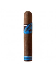 Corrida Nicaragua Toro (20) 2
