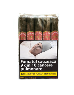 Oro De Esteli Habano Bundle Petit Corona (10)