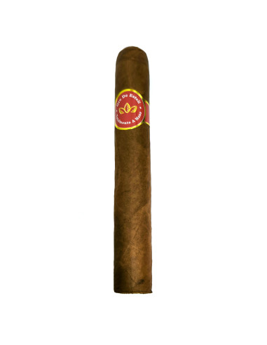 Oro De Esteli Habano Bundle Corona (10)